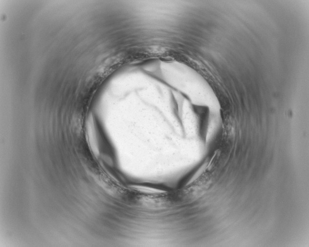 X0000088580568200706221319