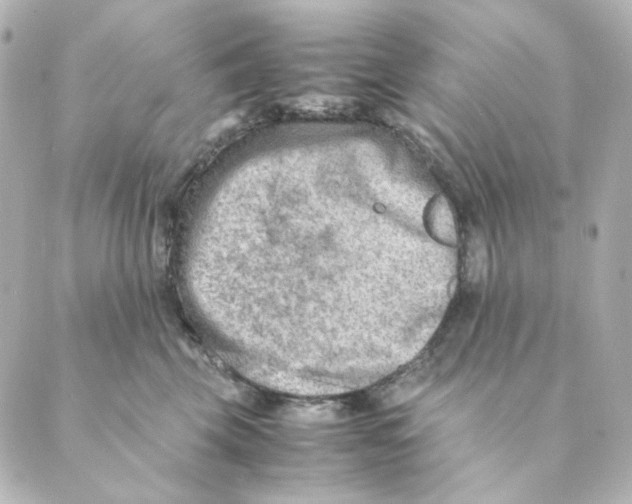 X0000088580569200706221319