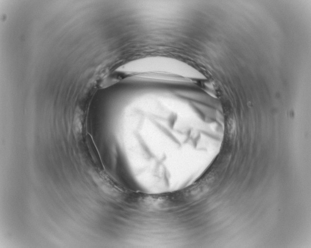 X0000088580570200706221319