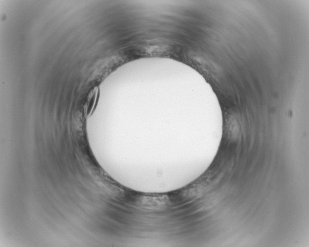 X0000088580571200706221319