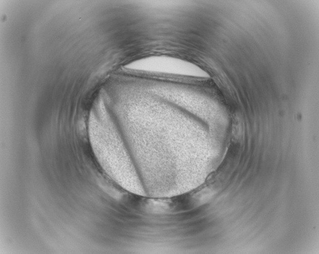 X0000088580573200706221319