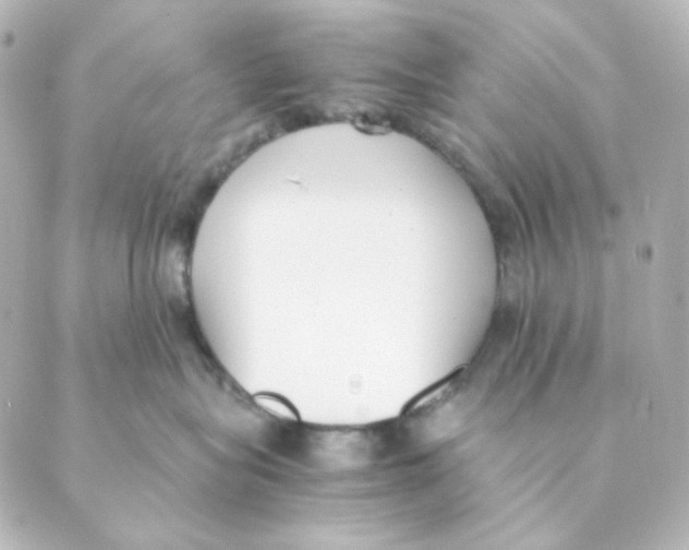 X0000088580575200706221319