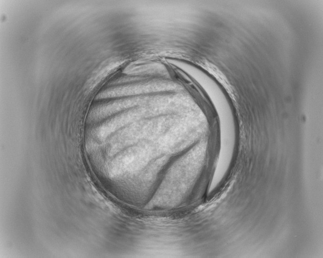 X0000088580577200706221318