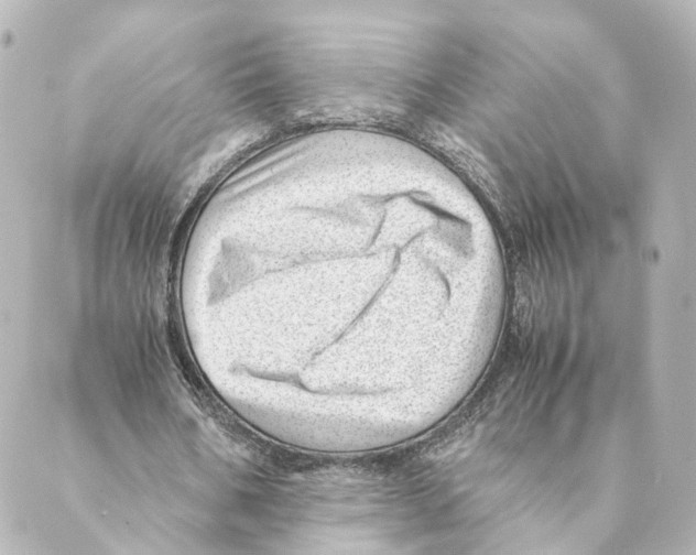 X0000088580578200706221318