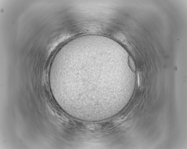 X0000088580579200706221318