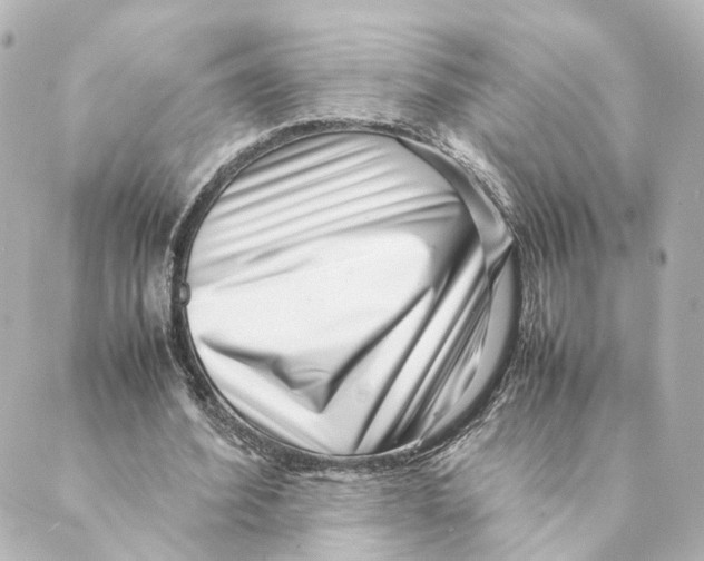 X0000088580580200706221318