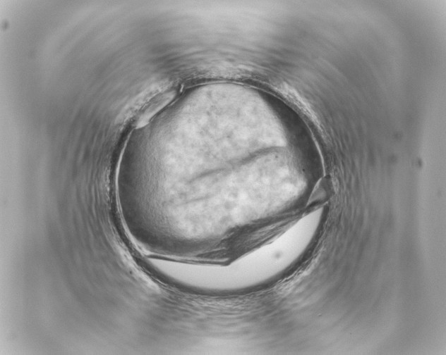 X0000088580581200706221318