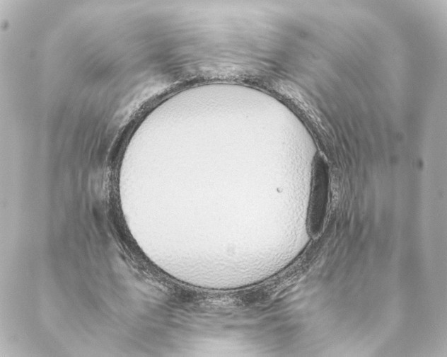 X0000088580583200706221318