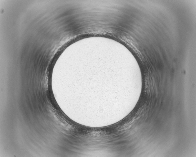 X0000088580584200706221318