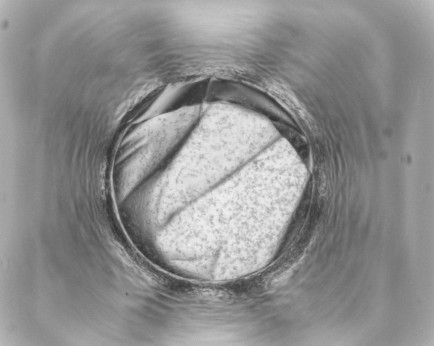 X0000088580585200706221318