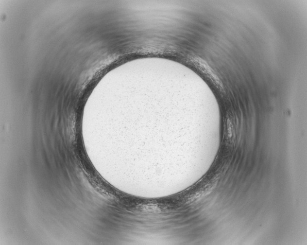 X0000088580588200706221318