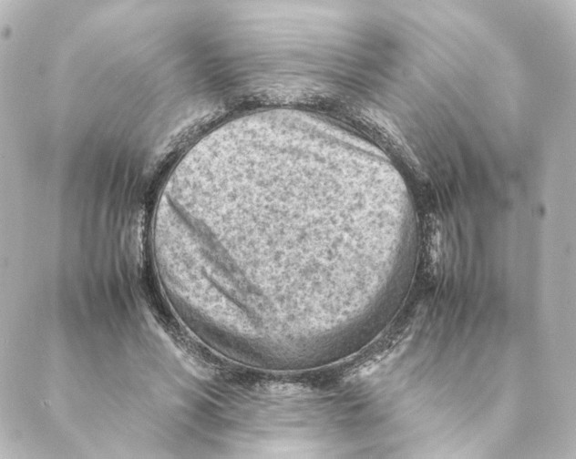 X0000088580590200706221318