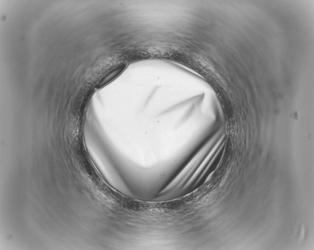 X0000088580593200706221318