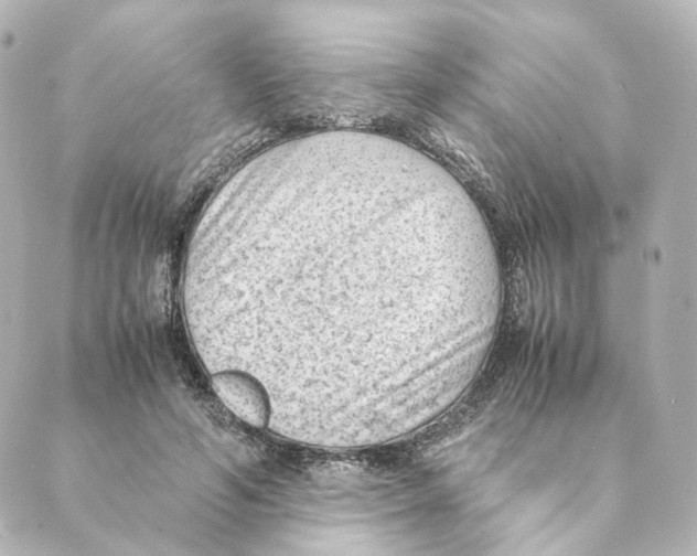 X0000088580594200706221318