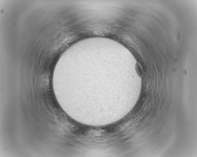 X0000088580595200706221318