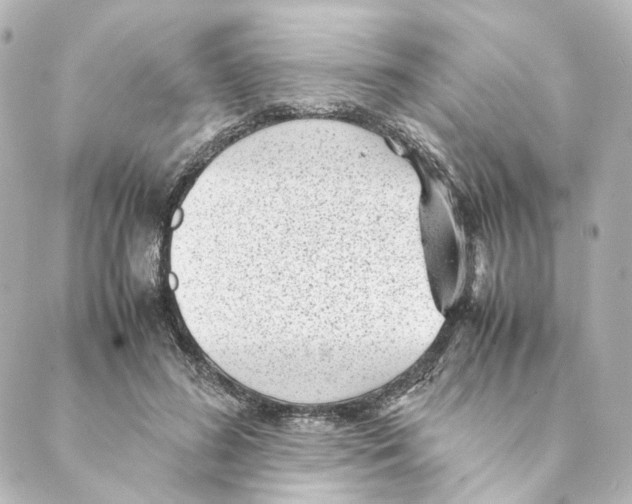 X0000088580596200706221318