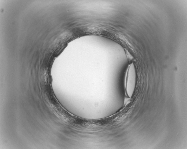 X0000088580597200706221318