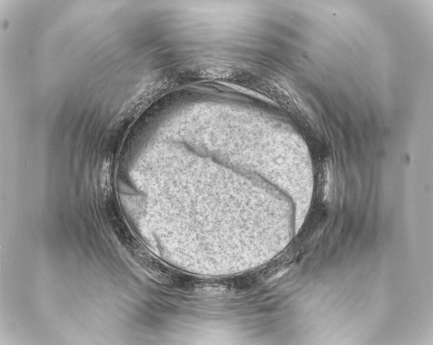 X0000088580598200706221318