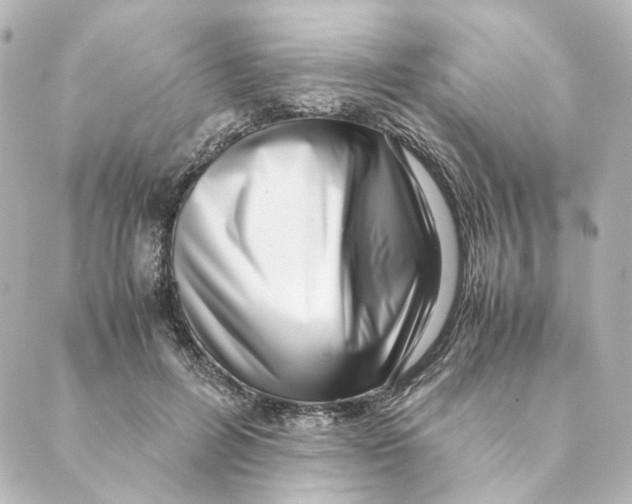 X0000088580600200706221318