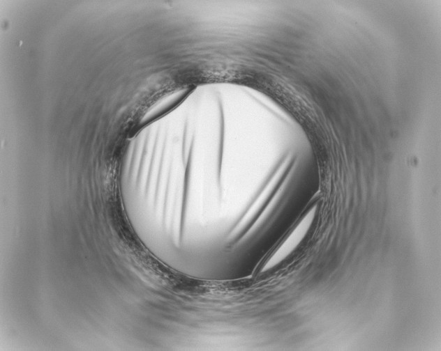 X0000088580601200706221318