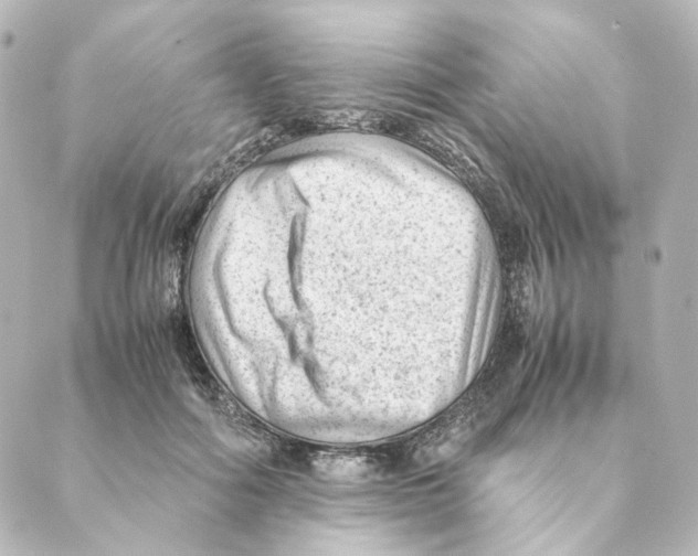 X0000088580602200706221318