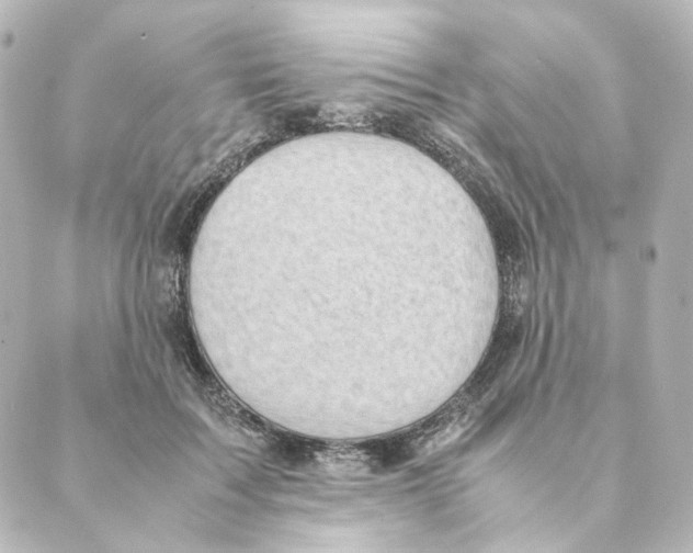 X0000088580603200706221318