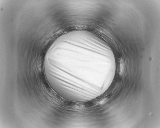 X0000088580604200706221318