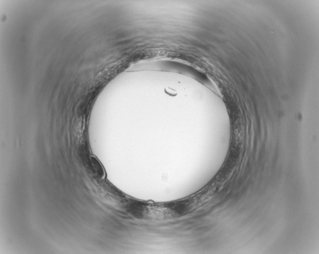 X0000088580605200706221318