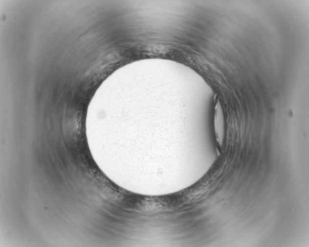 X0000088580608200706221318