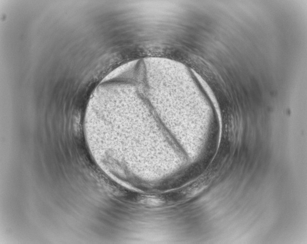 X0000088580610200706221318