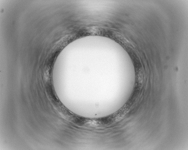 X0000088580611200706221318