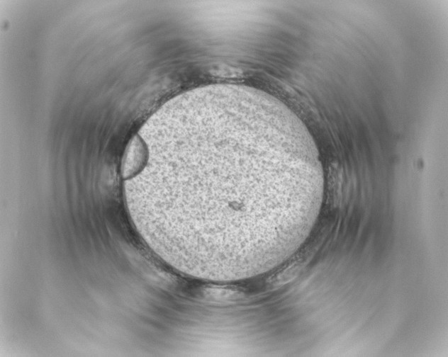 X0000088580614200706221318