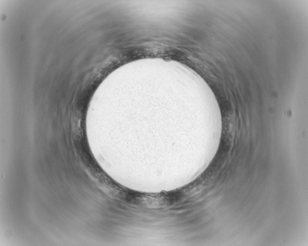 X0000088580615200706221318