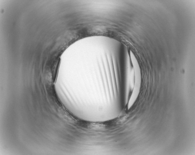 X0000088580617200706221318