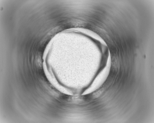 X0000088580622200706221318