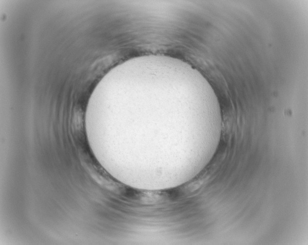 X0000088580623200706221318