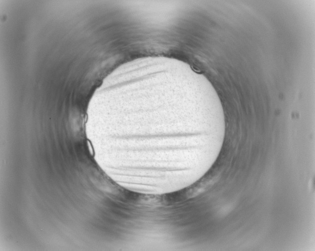 X0000088580624200706221318