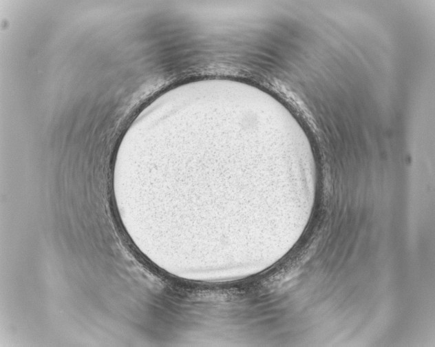 X0000088580625200706221317