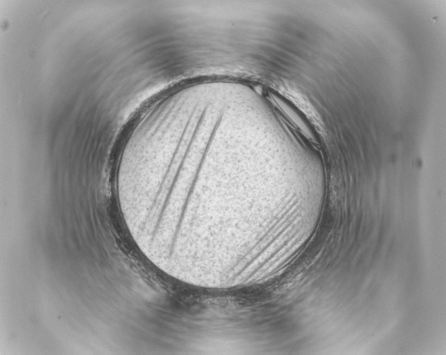 X0000088580628200706221317