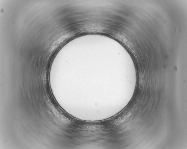 X0000088580629200706221317