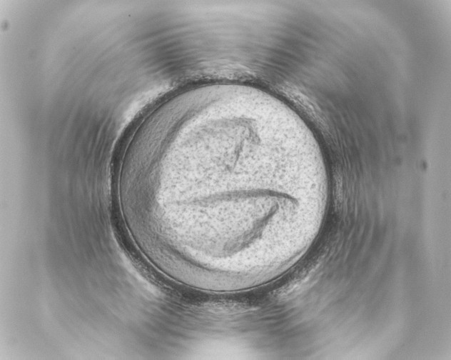 X0000088580630200706221317