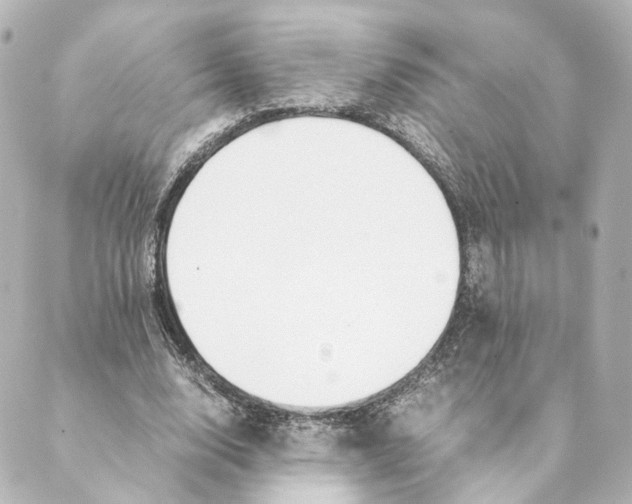 X0000088580632200706221317