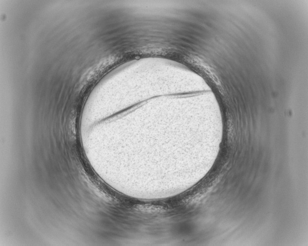 X0000088580633200706221317