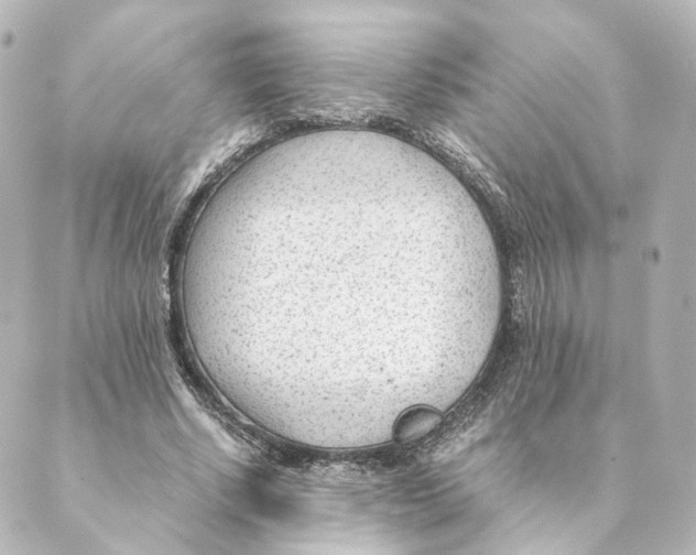 X0000088580634200706221317