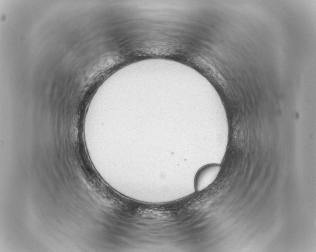 X0000088580635200706221317