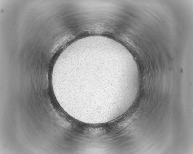 X0000088580638200706221317