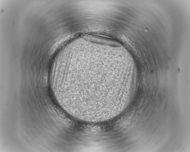 X0000088580640200706221317