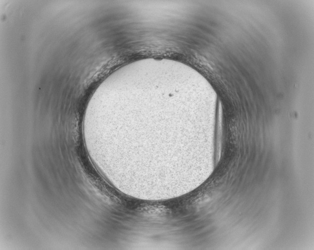 X0000088580642200706221317