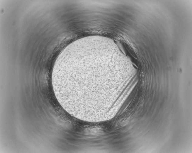 X0000088580643200706221317