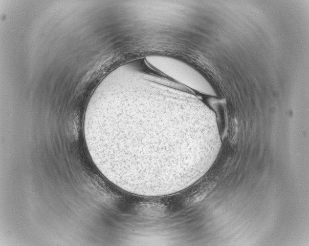 X0000088580644200706221317